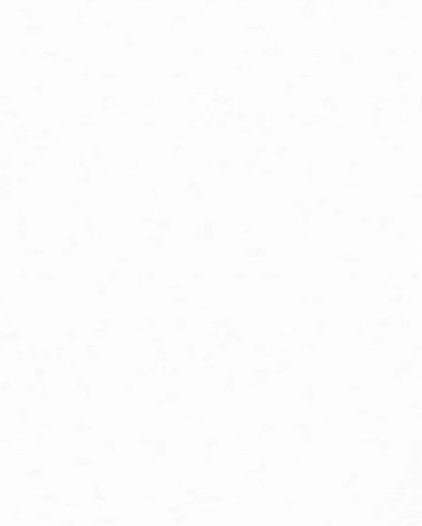 Zachary Podair Headshot