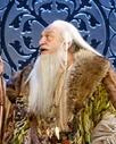 Herman Petras Headshot