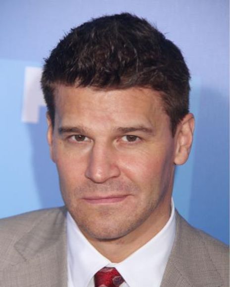 David Boreanaz Headshot