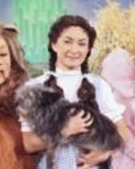 Sara Gilbert Headshot