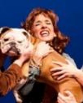 Lynda Divito Headshot