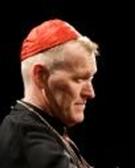 James Lapan Headshot