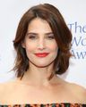Cobie Smulders