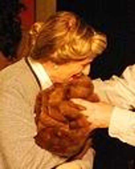 Lisa Connolly Headshot