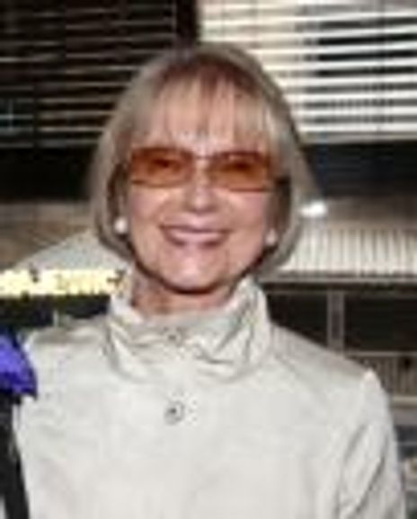Diane Fay Skomars Headshot