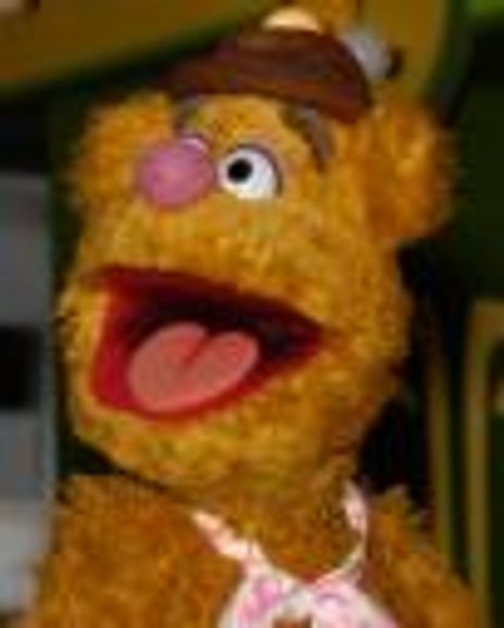 Fozzie Bear Headshot