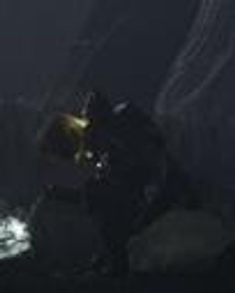 Kate Dickie Headshot