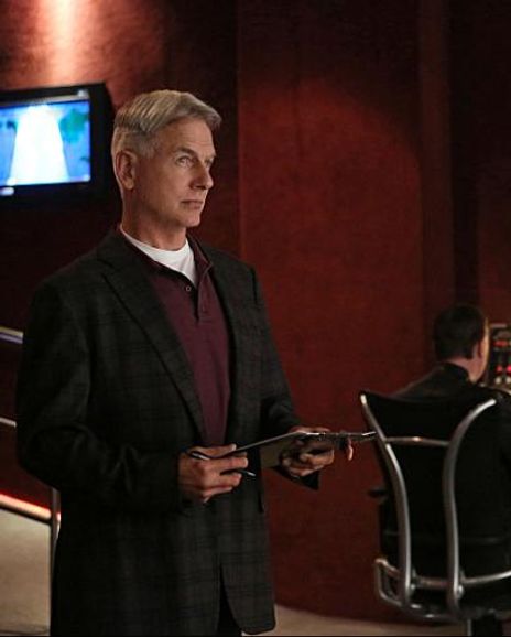 Mark Harmon Headshot