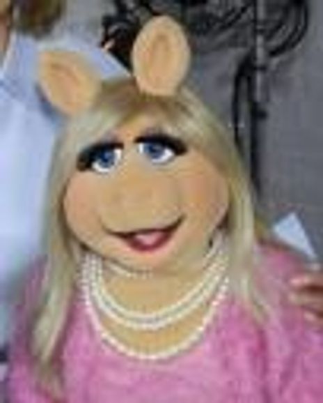 Miss Piggy Headshot