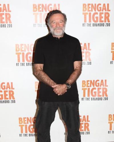 Robin Williams Headshot