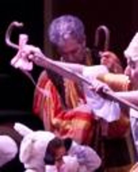 David Werthe Headshot