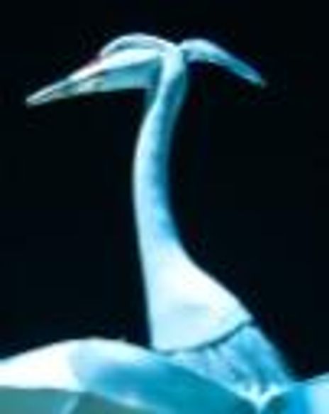 Emily Sophia Knapp Headshot