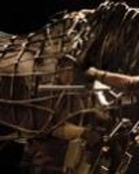 Michael Taibi Headshot