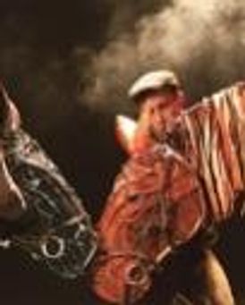 Gareth Aled Headshot