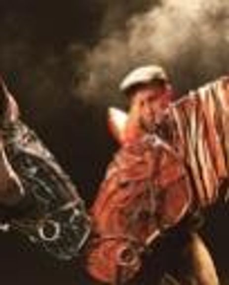 Gareth Aled Headshot