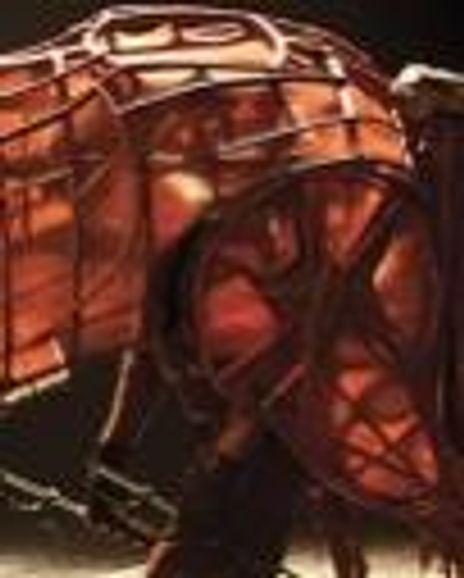 Derek Arnold Headshot