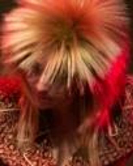 Caitlin Conklin Headshot