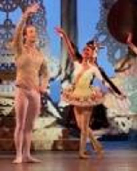 Rebecca Krohn Headshot