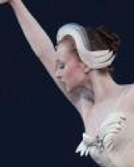 Alston Macgill Headshot