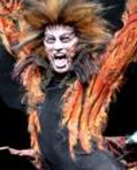 Cameron Ball Headshot