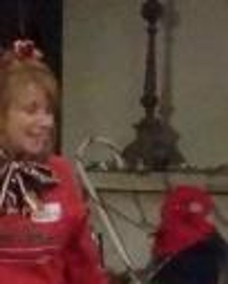 Bruce Nehlsen Headshot