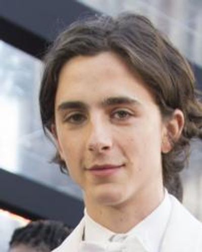 Timothee Chalamet Headshot