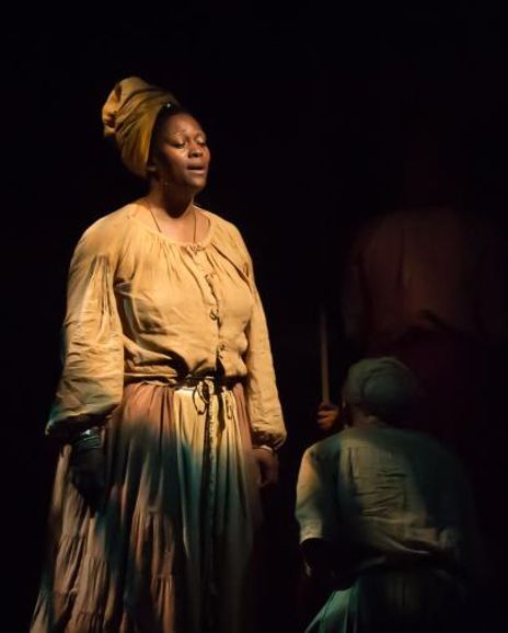 Dana Jean Phoenix Headshot