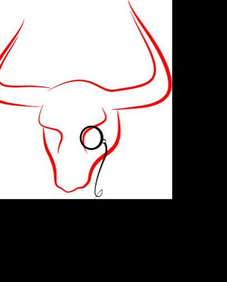 Toro Communications Headshot