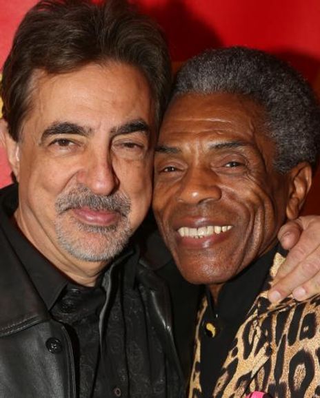 Joe Mantenga Headshot