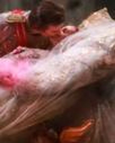 Jared Matthews Headshot