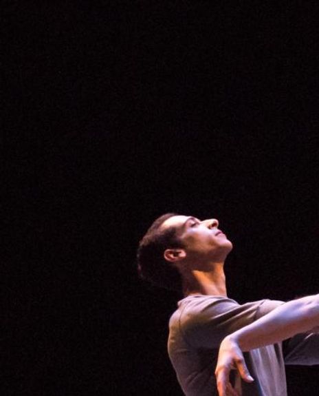 Angelina Sansone Headshot