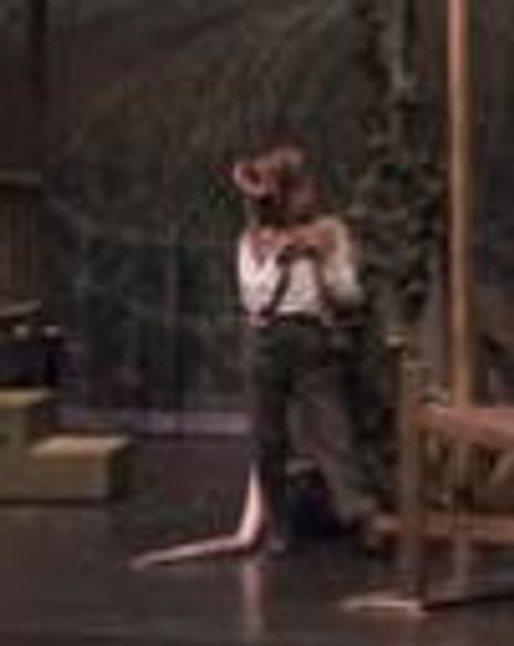 Caroline Donica Headshot