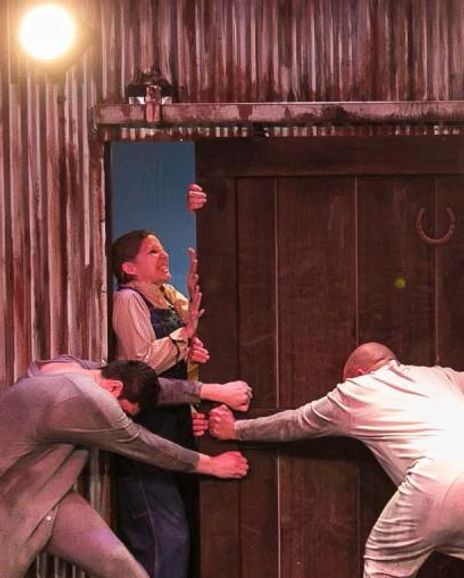 Maxwell Diaz Headshot