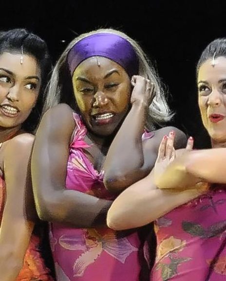 Lauren Solo Headshot