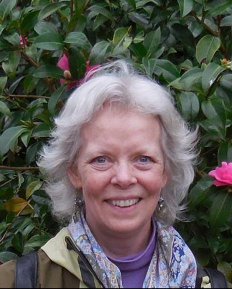 Suzanne Young Headshot