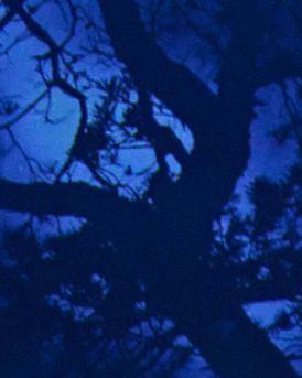 Oscar Lloyd Headshot