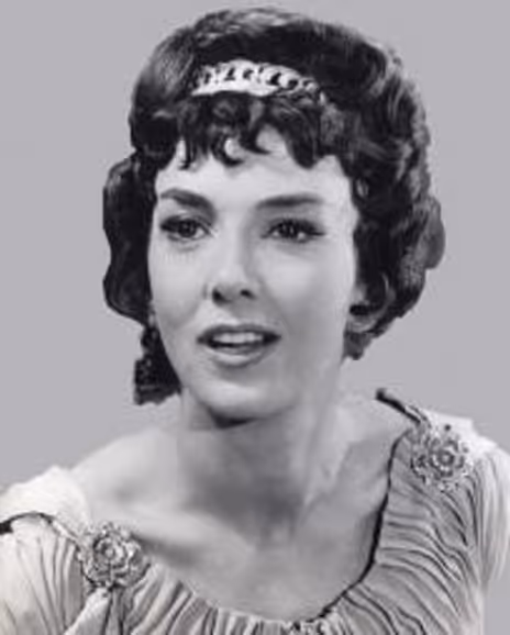 Ann Wakefield Headshot