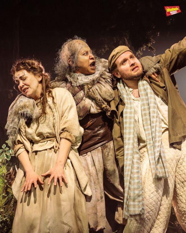INTO THE WOODS