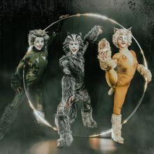 BWW Q&A: Sylvia Hernandez-DiStasi & Amanda Crockett of CATS at Paramount Theatre