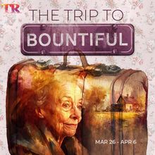 BWW Q&A: Will Ray Talks THE TRIP TO BOUNTIFUL at Theatre Raleigh