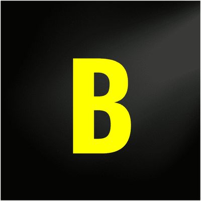 BLAME IT ON MY YOUTH