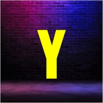 Youth Circus Camp (February)