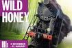 Wild Honey