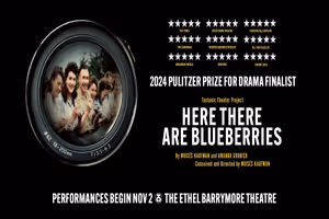 Here There Are Blueberries poster