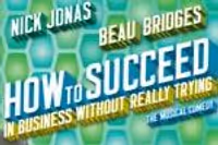 How to Succeed in Business Without Really Trying