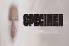Specimen Off-Broadway
