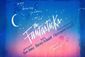 The Fantasticks Show Information