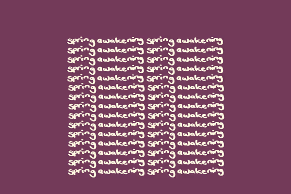 Spring Awakening Show Information