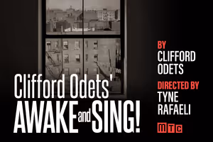Awake and Sing! poster