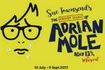 The Secret Diary of Adrian Mole